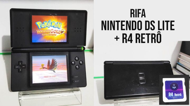 R501 – Nintendo DS + R4